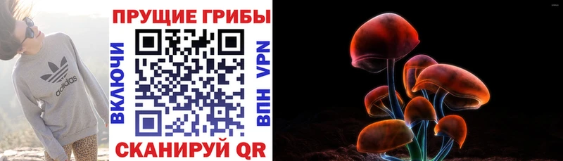 hydra сайт  Малмыж  Псилоцибиновые грибы Psilocybine cubensis 
